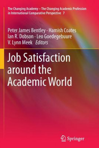 Kniha Job Satisfaction around the Academic World Peter James Bentley