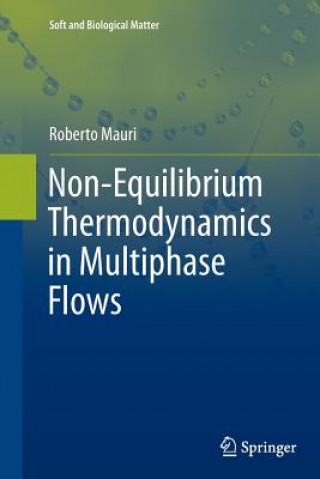 Kniha Non-Equilibrium Thermodynamics in Multiphase Flows Roberto Mauri