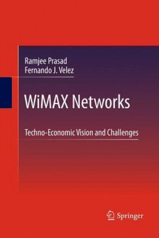 Kniha WiMAX Networks Prasad