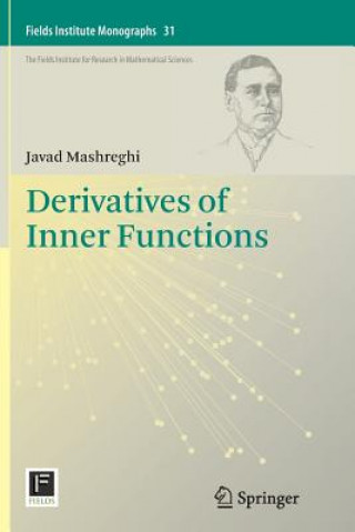 Könyv Derivatives of Inner Functions Javad Mashreghi