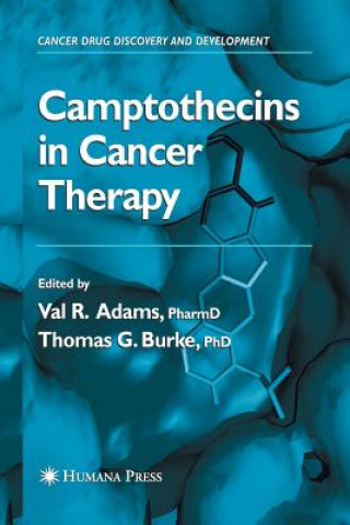 Könyv Camptothecins in Cancer Therapy Val R. Adams