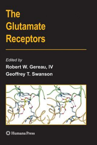 Buch Glutamate Receptors Robert W. Gereau