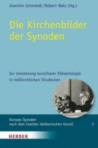 Kniha Die Kirchenbilder der Synoden Joachim Schmiedl