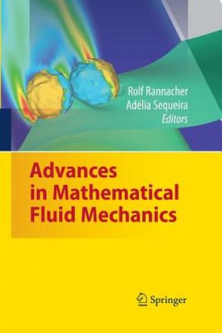 Kniha Advances in Mathematical Fluid Mechanics Rolf Rannacher