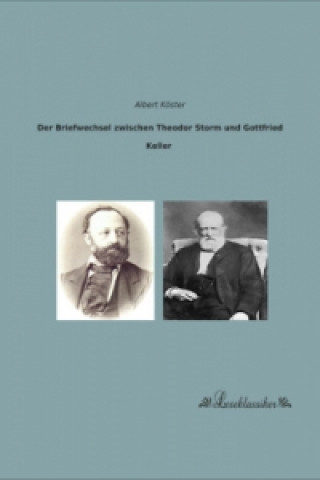 Kniha Der Briefwechsel zwischen Theodor Storm und Gottfried Keller Albert Köster