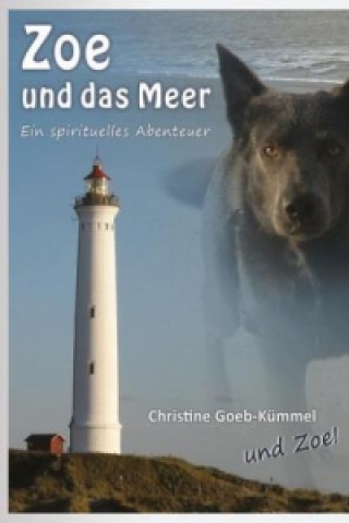Könyv Zoe und das Meer Christine Goeb-Kümmel