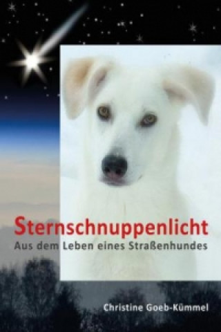 Kniha Sternschnuppenlicht Christine Goeb-Kümmel