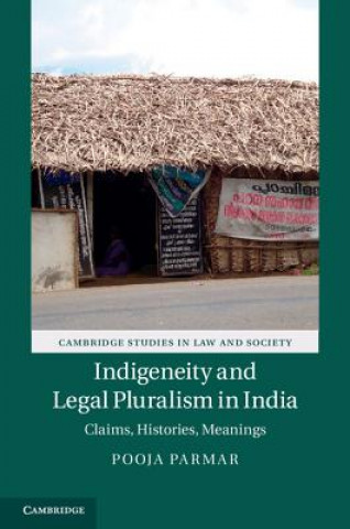Könyv Indigeneity and Legal Pluralism in India Pooja Parmar