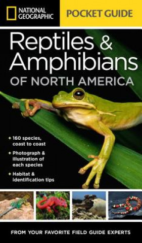 Könyv National Geographic Pocket Guide to Reptiles and Amphibians of North America Catherine Herbert Howell