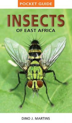 Carte Pocket Guide Insects of East Africa Mike Picker & Charles Griffiths