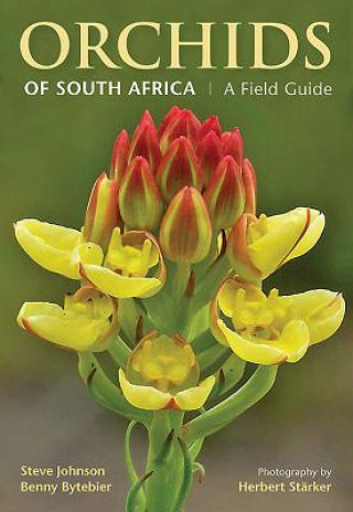 Carte Orchids of South Africa Steve Johnson