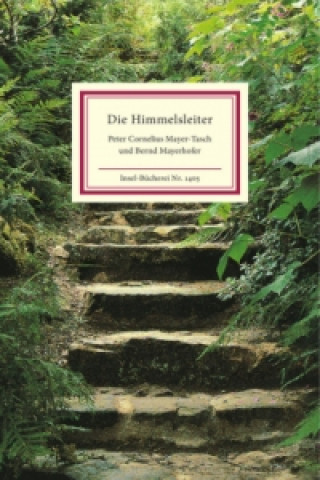 Kniha Die Himmelsleiter Peter Cornelius Mayer-Tasch
