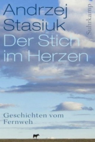 Könyv Der Stich im Herzen Andrzej Stasiuk