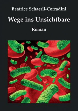 Kniha Wege ins Unsichtbare Beatrice Schaerli-Corradini