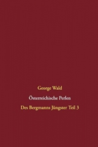 Kniha Österreichische Perlen George Wald