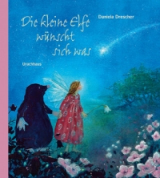 Buch Die kleine Elfe wünscht sich was Daniela Drescher