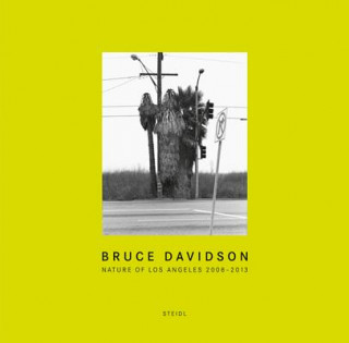 Kniha Bruce Davidson Bruce Davidson
