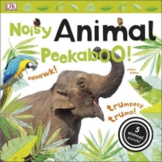 Książka Noisy Animal Peekaboo! DK