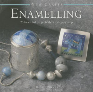 Kniha New Crafts: Enamelling Denise Palmer