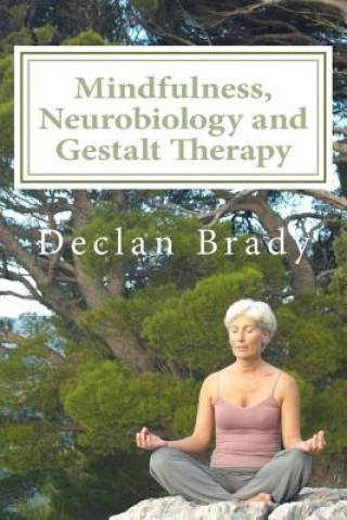 Kniha Mindfulness, Neurobiology and Gestalt Therapy Declan Brady