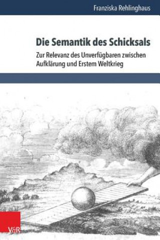 Buch Die Semantik des Schicksals Franziska Rehlinghaus