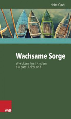 Livre Wachsame Sorge Haim Omer