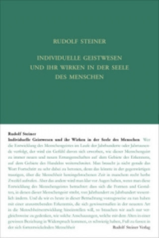 Carte Individuelle Geistwesen und ihr Wirken in der Seele des Menschen Rudolf Steiner