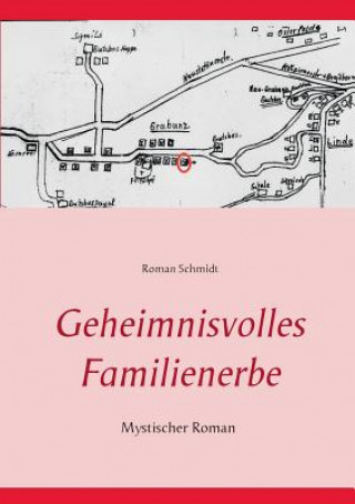 Kniha Geheimnisvolles Familienerbe Roman Schmidt