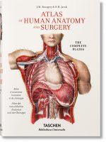 Kniha Bourgery: Atlas of Human Anatomy and Surgery Henri Sick