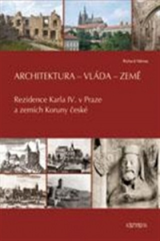 Książka Architektura - vláda - země Richard Němec