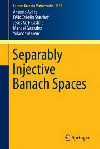 Kniha Separably Injective Banach Spaces Antonio Aviles