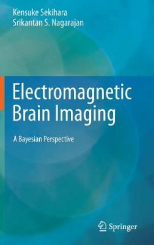 Buch Electromagnetic Brain Imaging Kensuke Sekihara