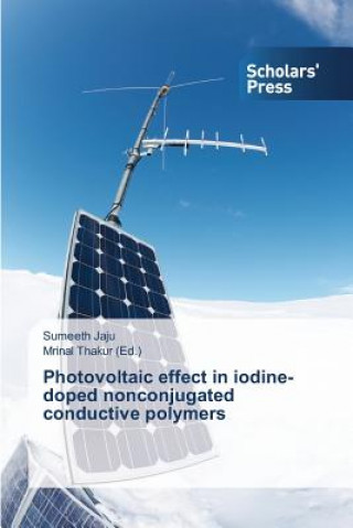 Kniha Photovoltaic effect in iodine-doped nonconjugated conductive polymers Jaju Sumeeth