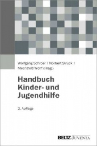 Książka Handbuch Kinder- und Jugendhilfe Wolfgang Schröer