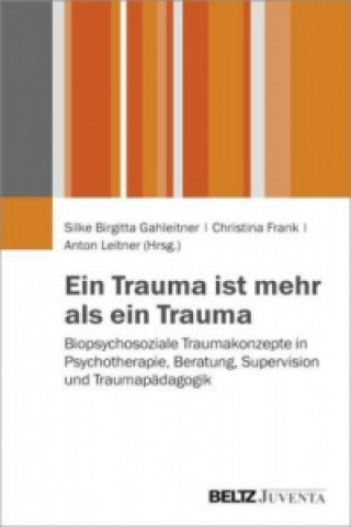 Knjiga Ein Trauma ist mehr als ein Trauma Silke Birgitta Gahleitner