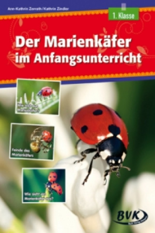 Kniha Der Marienkäfer im Anfangsunterricht Kathrin Zindler