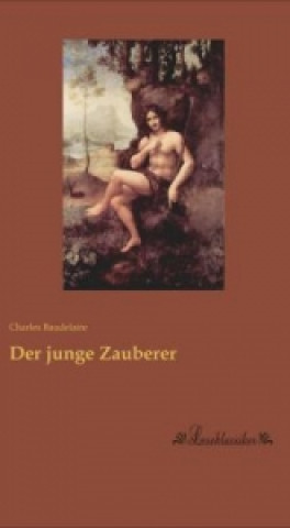 Książka Der junge Zauberer Charles Baudelaire