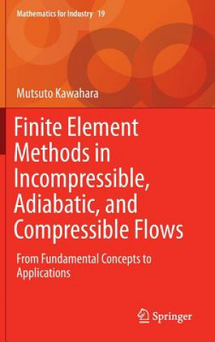 Книга Finite Element Methods in Incompressible, Adiabatic, and Compressible Flows Mutsuto Kawahara