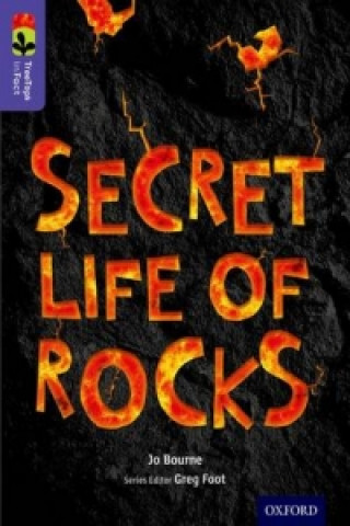 Kniha Oxford Reading Tree TreeTops inFact: Level 11: Secret Life of Rocks Jo Bourne