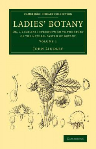 Book Ladies' Botany John Lindley