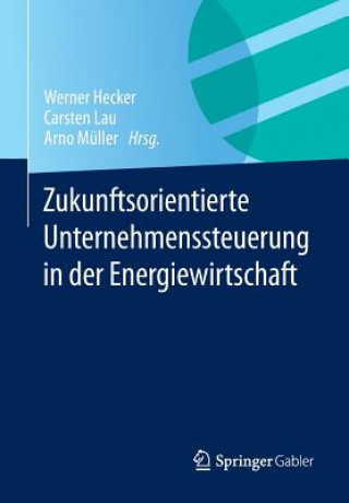 Kniha Zukunftsorientierte Unternehmenssteuerung in Der Energiewirtschaft Werner Hecker