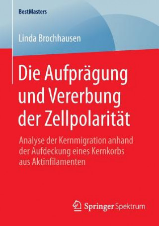 Kniha Die Aufpragung und Vererbung der Zellpolaritat Linda Brochhausen