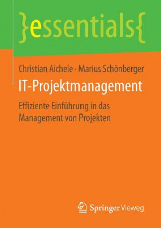 Βιβλίο It-Projektmanagement Christian Aichele