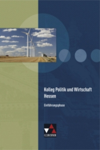 Kniha Politik und Wirtschaft Hessen Einführungsphase Sabrina Giesendorf