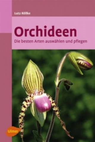 Könyv Orchideen Lutz Röllke