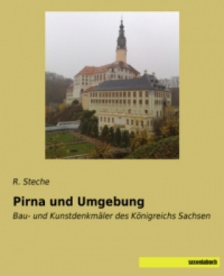 Carte Pirna und Umgebung R. Steche