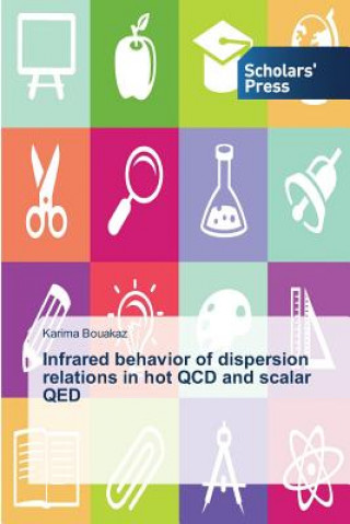 Kniha Infrared behavior of dispersion relations in hot QCD and scalar QED Bouakaz Karima