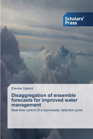 Carte Disaggregation of ensemble forecasts for improved water management Gaborit Etienne