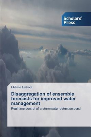 Kniha Disaggregation of ensemble forecasts for improved water management Gaborit Etienne