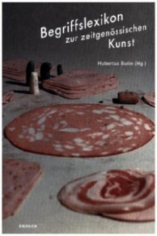 Libro Begriffslexikon zur zeitgenössischen Kunst Hubertus Butin